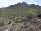 photo thumbnail #12