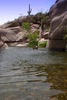 photo thumbnail #10