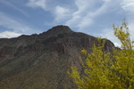 photo thumbnail #2