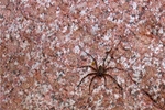 photo thumbnail #15