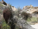 photo thumbnail #10