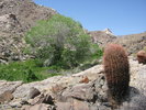 photo thumbnail #14