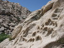 photo thumbnail #15