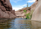 photo thumbnail #2