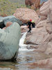 photo thumbnail #7