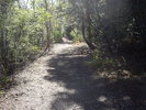 photo thumbnail #10