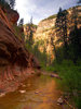 photo thumbnail #9