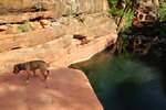 photo thumbnail #6