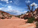 photo thumbnail #5