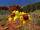 photo thumbnail #10