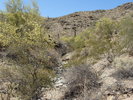 photo thumbnail #10