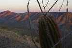photo thumbnail #4