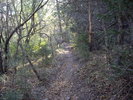 photo thumbnail #10