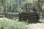photo thumbnail #8