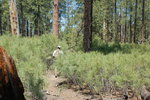 photo thumbnail #12