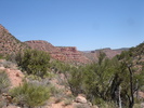 photo thumbnail #4