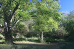 photo thumbnail #10