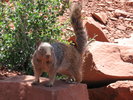 photo thumbnail #13