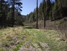 photo thumbnail #4