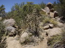 photo thumbnail #6