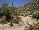 photo thumbnail #7