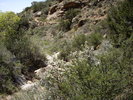 photo thumbnail #10