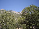 photo thumbnail #13