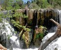 photo thumbnail #14