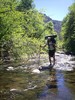 photo thumbnail #3