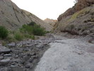 photo thumbnail #10