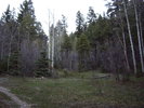 photo thumbnail #3