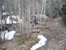 photo thumbnail #4