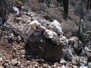 photo thumbnail #7