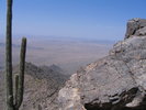 photo thumbnail #8