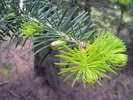 photo thumbnail #7