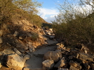 photo thumbnail #2