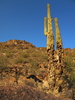 photo thumbnail #3