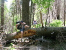 photo thumbnail #7