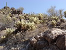 photo thumbnail #4