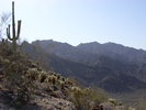 photo thumbnail #7