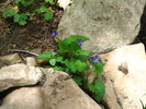 photo thumbnail #7