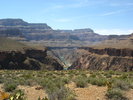 photo thumbnail #15