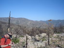 photo thumbnail #6
