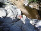 photo thumbnail #8