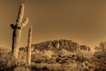photo thumbnail #1