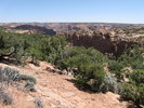 photo thumbnail #15