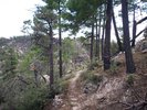 photo thumbnail #5