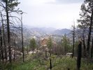 photo thumbnail #8