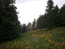 photo thumbnail #9