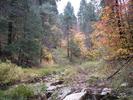 photo thumbnail #7